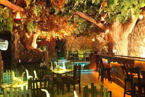 Rainforest Resto-Bar 1