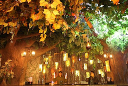 Rainforest Resto-Bar