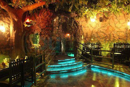 Rainforest Resto-Bar
