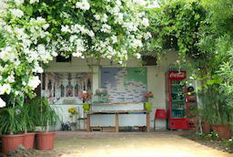 Resort Raghav Palace