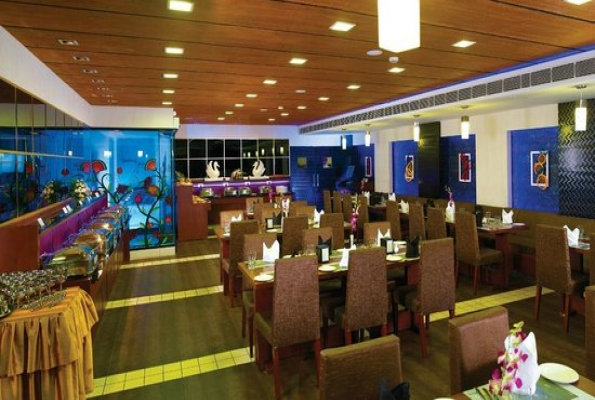 Hotel Olive Eva 1
