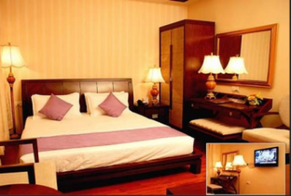 Hotel Picasso Naraina  2