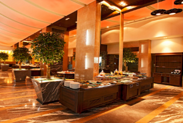 Radisson Blu Hotel 2