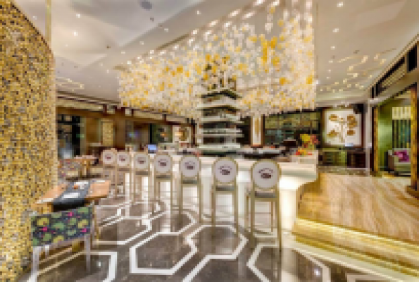 Hotel Hindustan International 4