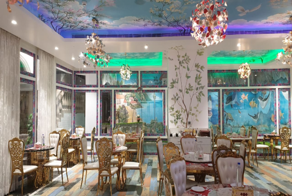 Star Delhi Cafe 2