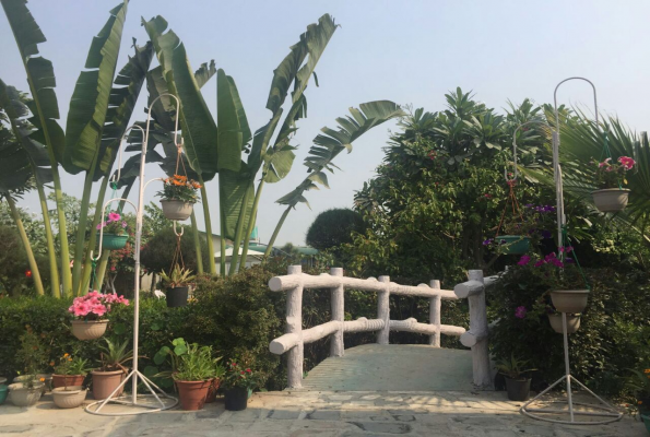 Chaudhary Farm 1
