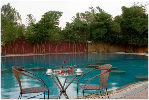 Gardeenia Comfortes Suites 2