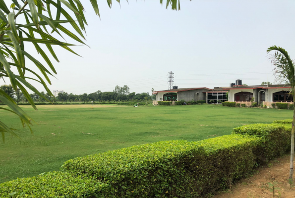 Evergreen Woods 5