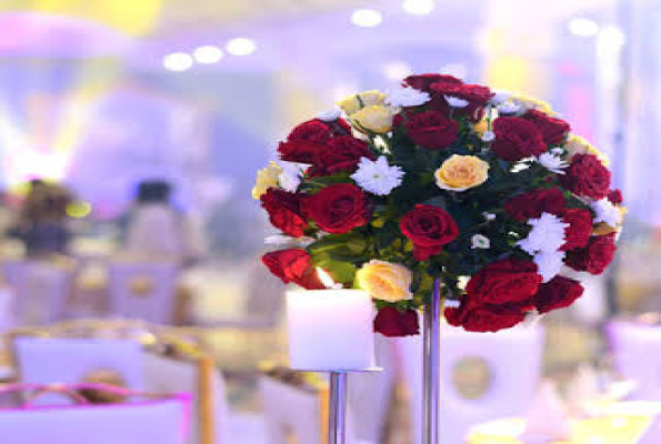 New Celebration Green 5