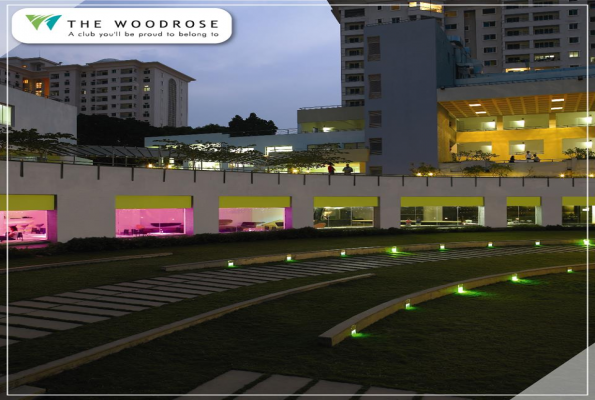 The Woodrose 4