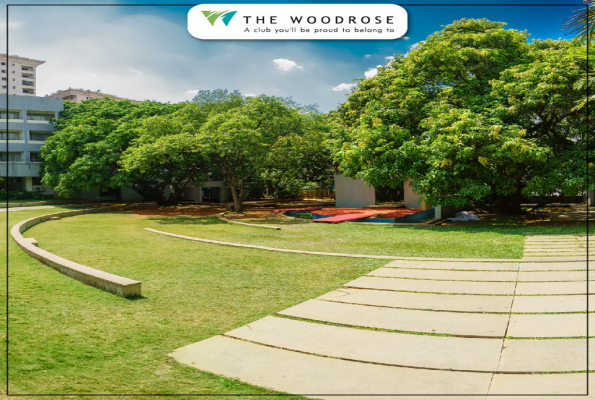 The Woodrose 5