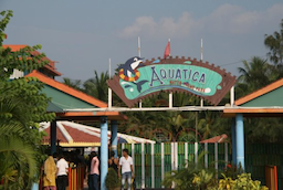 Aquatica