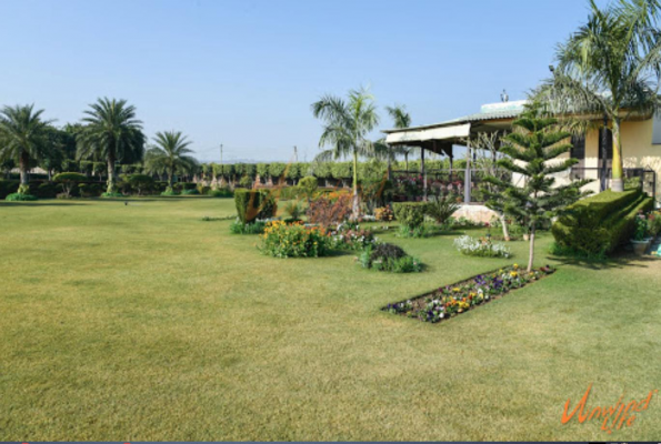 Prakash Farms 2