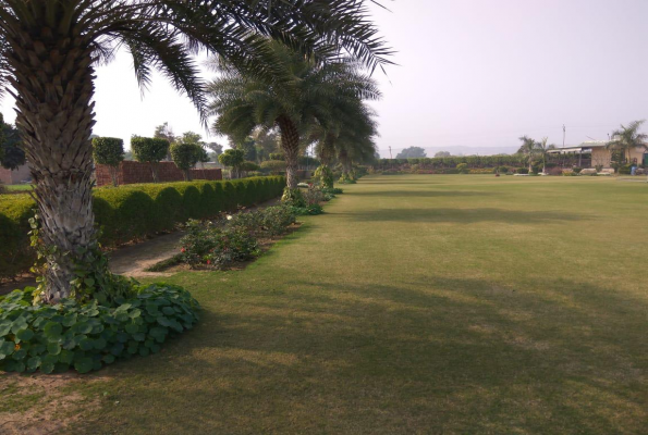 Prakash Farms 4