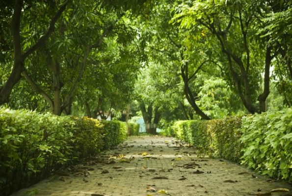 Srushti Farms 1