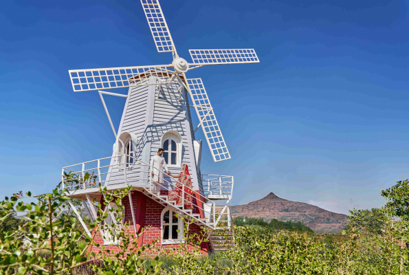 Grape County Eco Resort & Spa 1