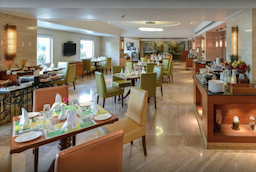 Lemon Tree Premier The Atrium