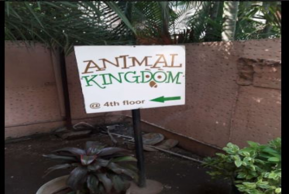 Animal Kingdom 3