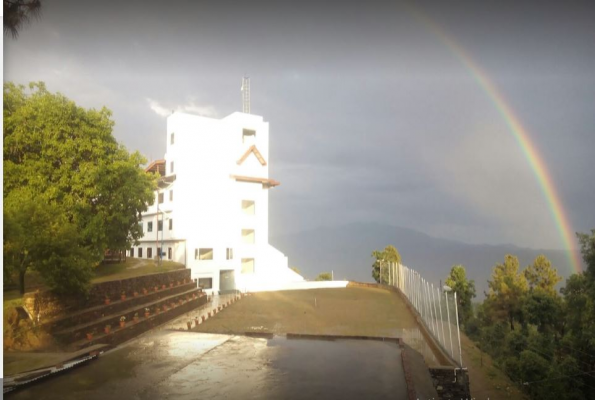 Hotel Jungle Livinn 3