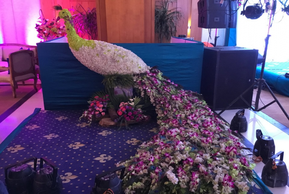 Hotel Ramada Jaipur 3