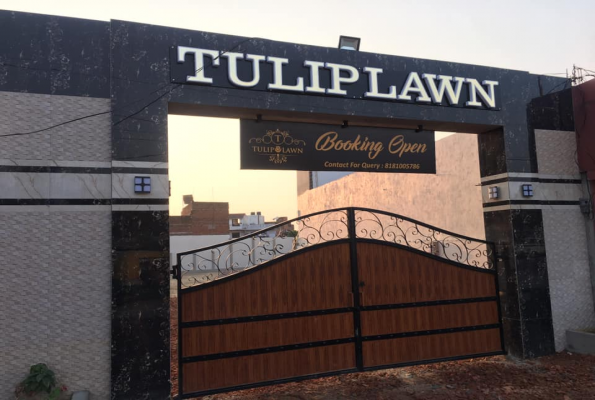 Tulip Lawn 3