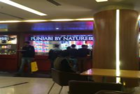 Punjabi By Nature 3