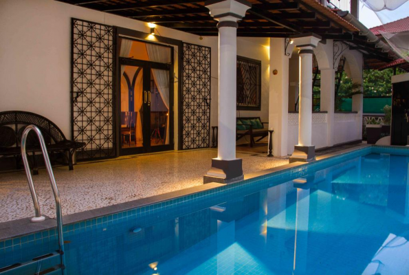 Casa De Tartaruga 3