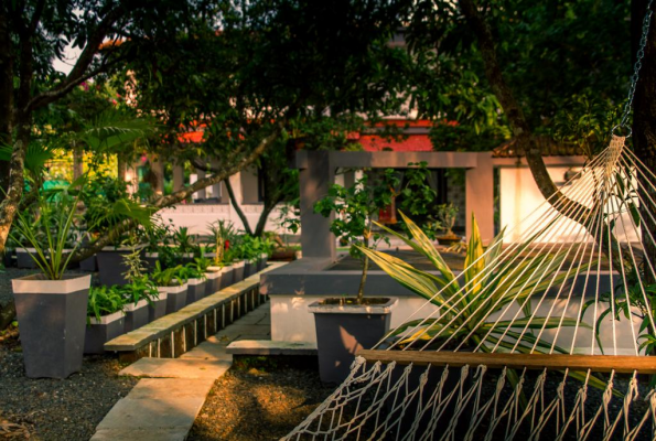 Casa De Tartaruga 4