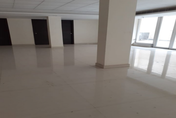 Lime Tree Service Apartment 2