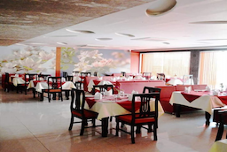 Hotel Badri Palace