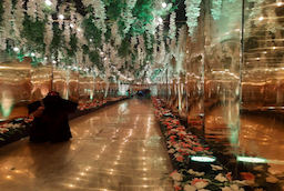 Hotel Badri Palace