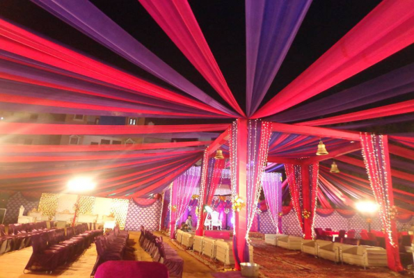 Golden Tulip 3