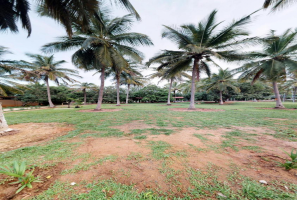 Holiday Palms Hotel 1