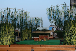 Raspan Green Party Plot