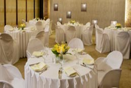 The Regenza By Tunga