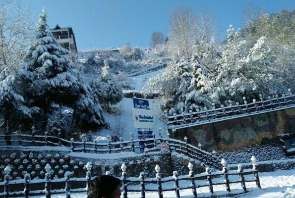 The Swiss Village 5