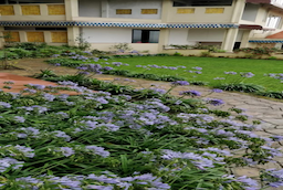 Casa Dream The Resort