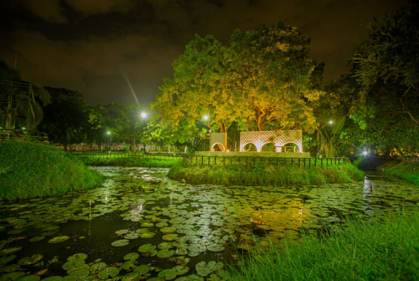 Spp Gardens 3