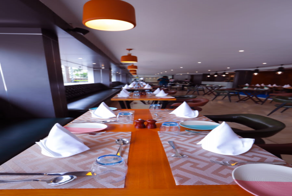 Olive Whitefield By Embassy 3