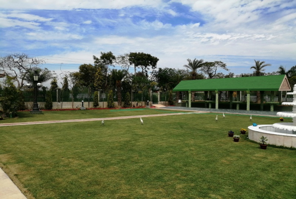 Mann The Palm Retreat 1