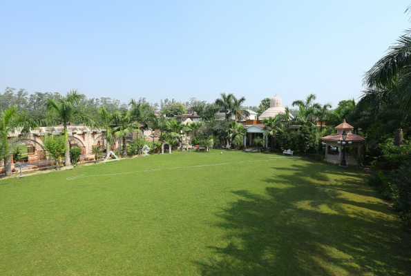 Mann The Palm Retreat 5