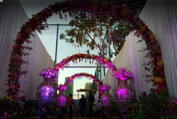 Orlem Lawn 2