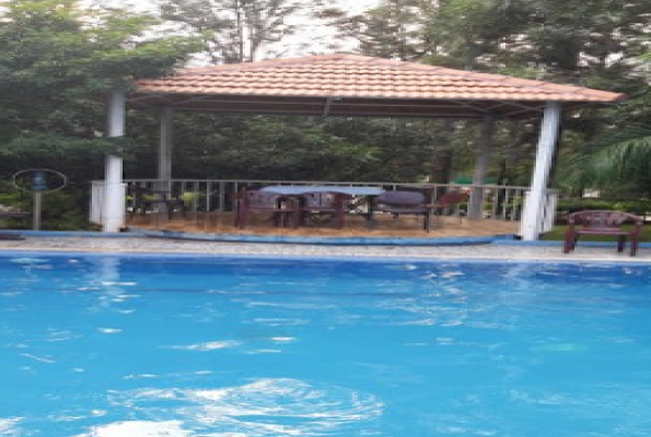 Jolly Woods Resorts 3