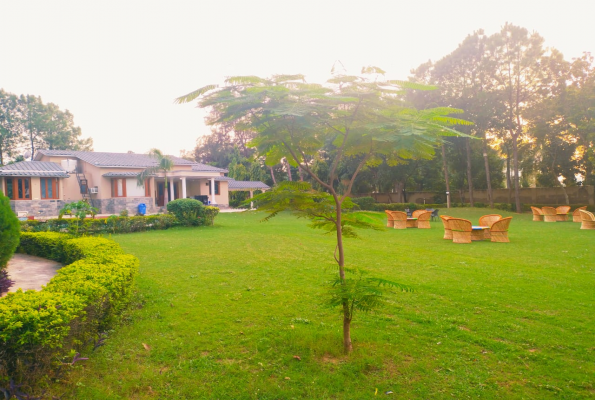 Melody Farm 5