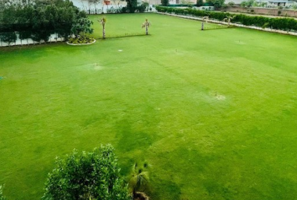 Mahashay Farms 4