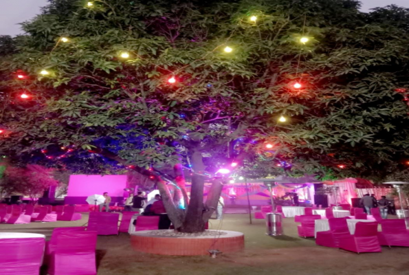 The Mango Tree By Shay Hospitality 2