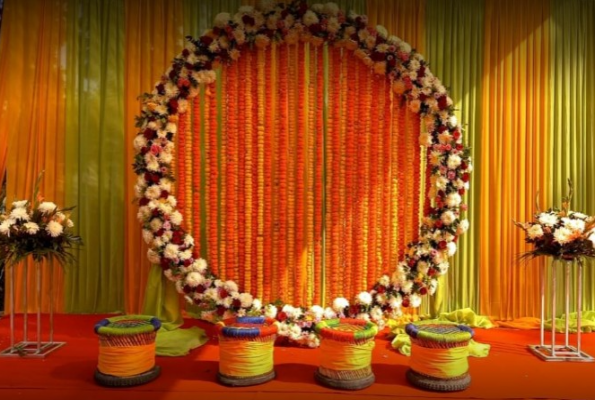 Royal Orchid Farms 4