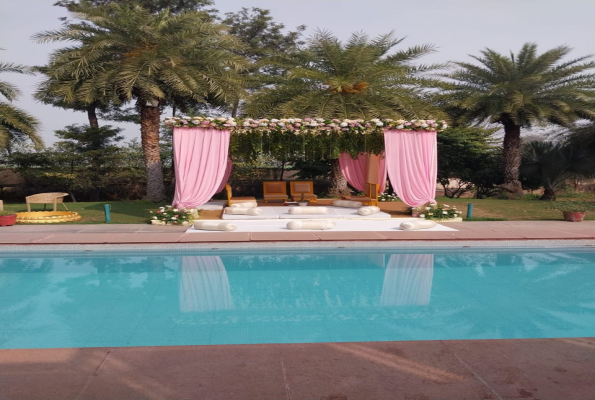 Royal Orchid Farms 3