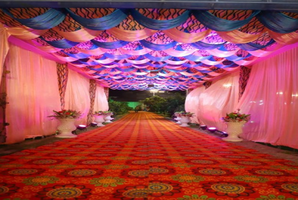 Shakumbhari Farms 4