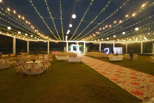Touchwood Bliss 4